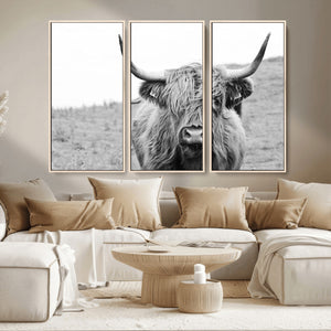 Newfoundland Cow Art Wall Art, Black White Cow Art Wall Art
