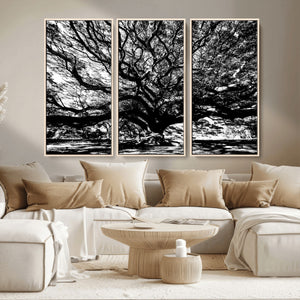 Mighty Angel Oak Wall Art | Angel Oak Tree Art Print