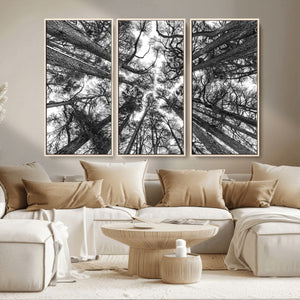 Trees Contemporary Art Canvas Print