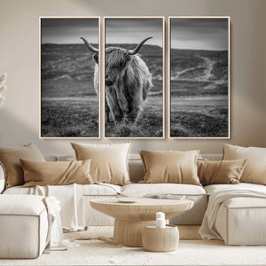 Fluffy Cattle Wall Art Print, Highland Cow Canvas, Framed