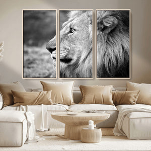 Lion Wall Art Canvas Print – Framed Majestic Wildlife