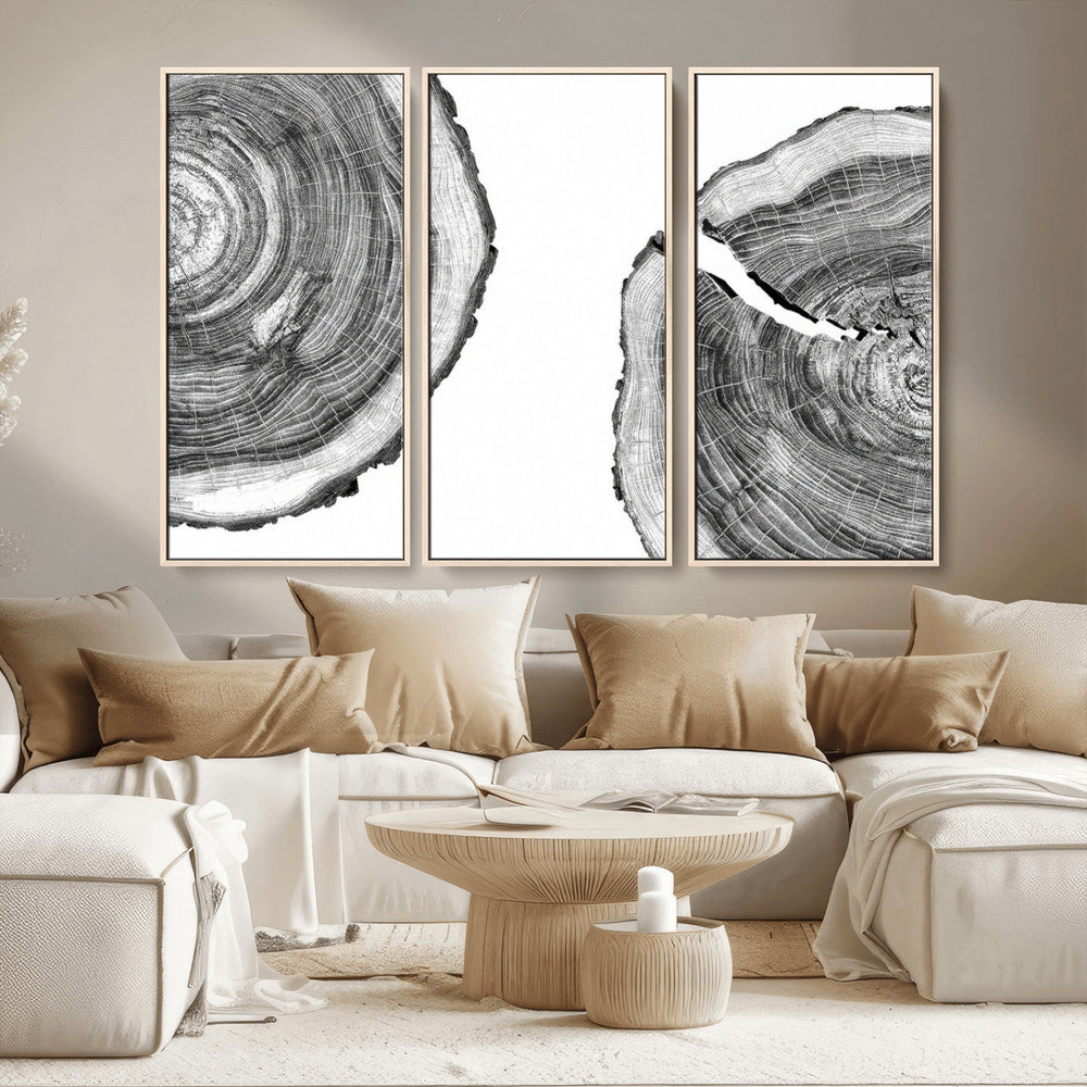 Abstract Large Tree Rings – Minimalist Black and White Wood