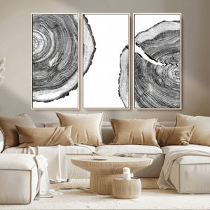 Abstract Large Tree Rings – Minimalist Black and White Wood