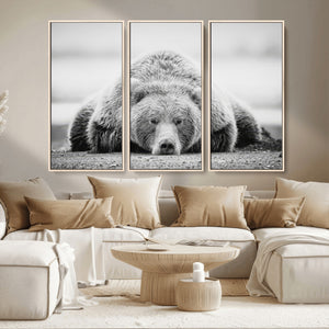 Resting Grizzly Bear Wall Art Canvas Print – Majestic Lazy