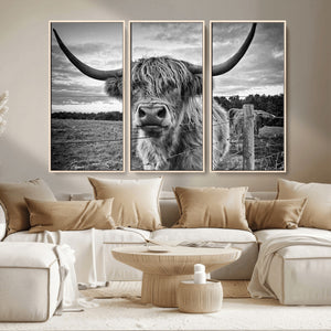 Scottish Highland Cow Wall Art Canvas Print | Ready to Hang