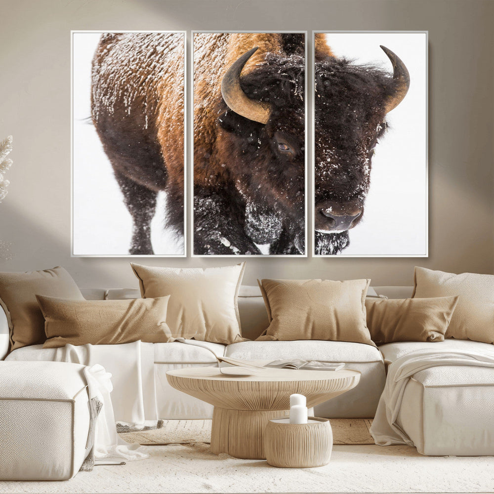 Bison Wall Art Canvas Print For Farmhouse, Wild Animal Wall