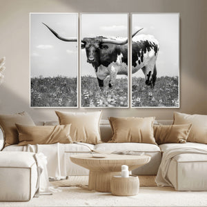 Texas Black White Highland Longhorn Cow Wall Art Canvas
