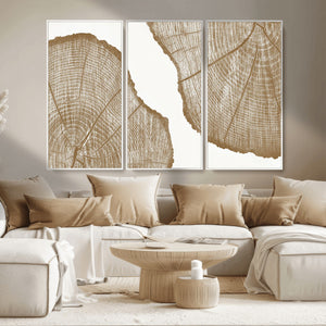 Rustic Brown Tree Ring Wall Art Canvas Print – Framed and