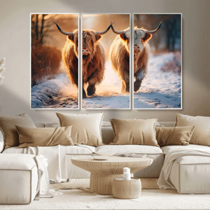 Scottish Highland Cow Horn Farm Wall Art Canvas Print