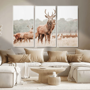 Rustic Nature Wall Art Canvas Print – Stag Woodland Framed