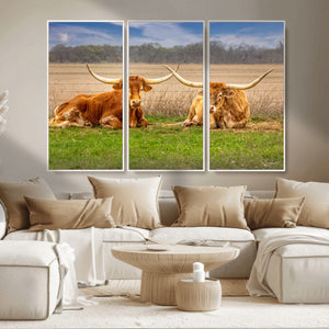 Texas Longhorn Pair Wall Art Canvas Print – Peaceful Rustic