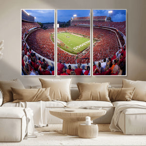 Dooley Stadium Wall Art, Sports Arena Canvas Print, Dooley