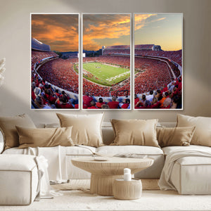 Dooley Stadium Wall Art, Sports Arena Canvas Print, Dooley