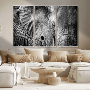 Wild Old Elephant Wall Art Canvas Print
