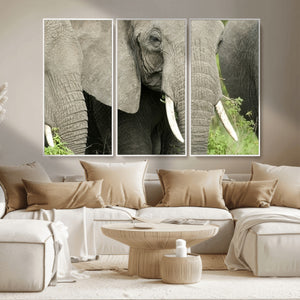 Wild Elephant Wall Art Canvas Print