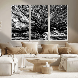 Mighty Angel Oak Wall Art | Angel Oak Tree Art Print