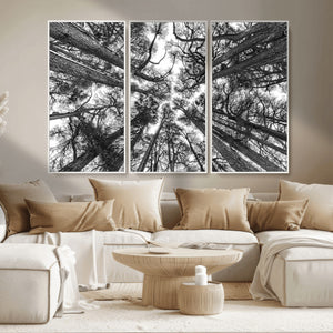 Trees Contemporary Art Canvas Print