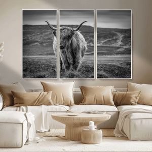 Fluffy Cattle Wall Art Print, Highland Cow Canvas, Framed