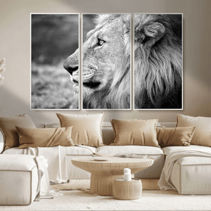 Lion Wall Art Canvas Print – Framed Majestic Wildlife