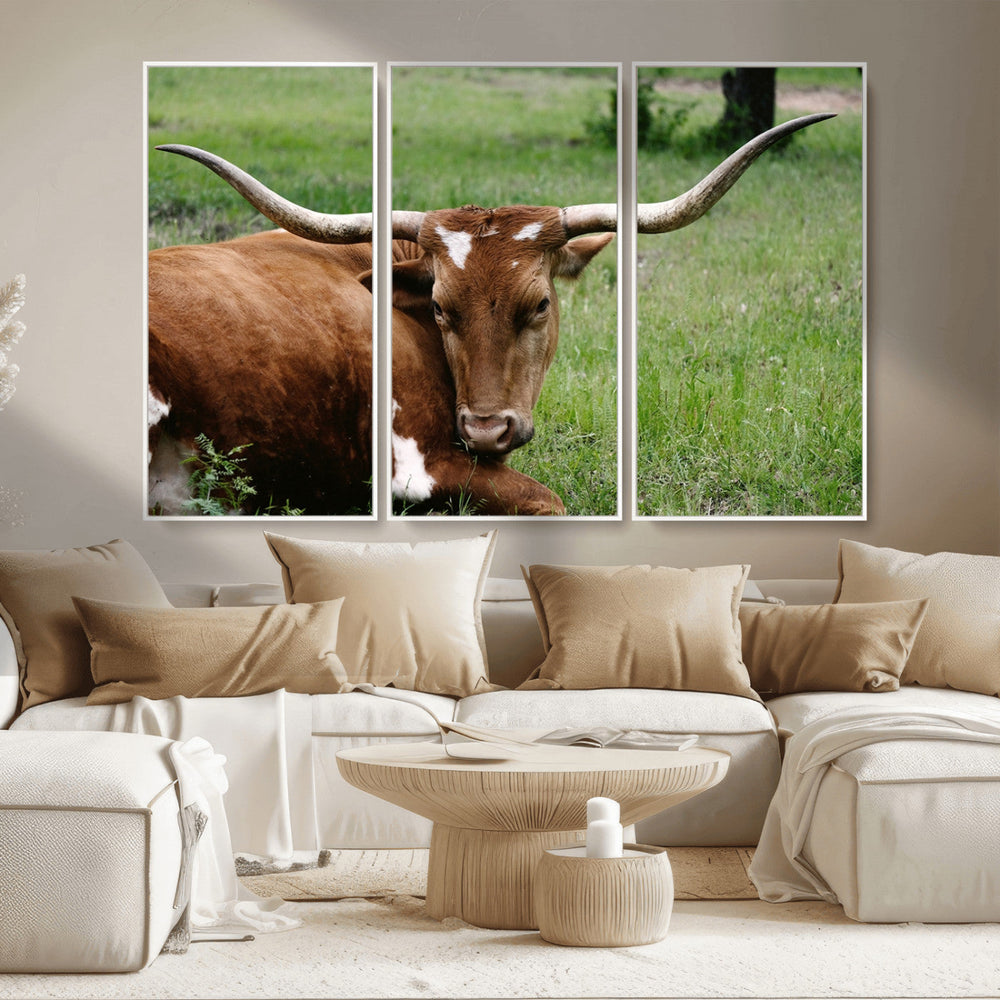 Longhorn Cow Animal Wall Art Canvas Print