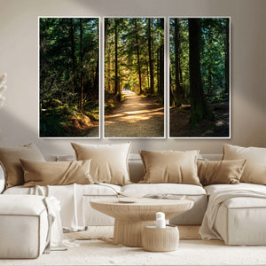 Sunlit Forest Pathway Canvas Print | 3 Panel Large Nature