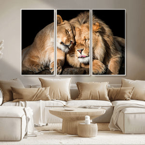Lion and Lioness Wall Art Canvas Print – Framed African