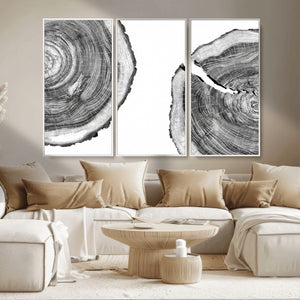 Abstract Large Tree Rings – Minimalist Black and White Wood