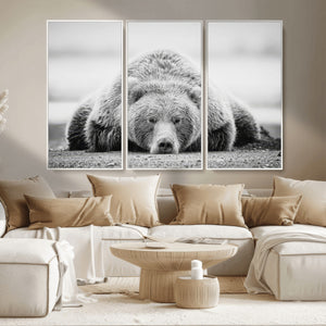Resting Grizzly Bear Wall Art Canvas Print – Majestic Lazy