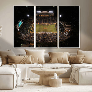 Wake Forest University Demon Deacons Canvas Printi, Football