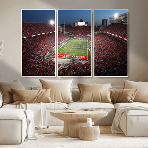 Ohio State University Buckeyes Football Team Print -