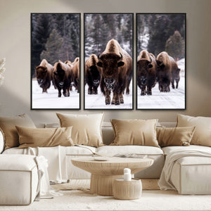 Bison Wall Art Canvas Print- Bison Herd Canvas Wall Art –