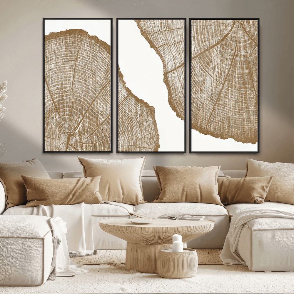 Rustic Brown Tree Ring Wall Art Canvas Print – Framed and