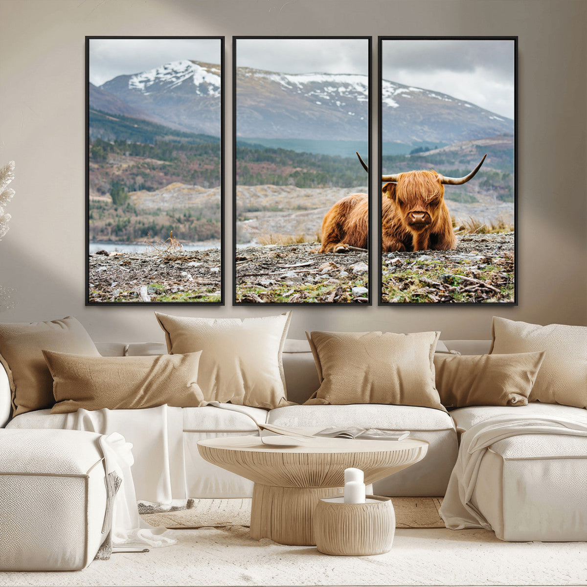 Highland Cow Horn Farm Wall Art Canvas Print