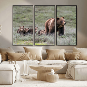 Wildlife Photography of 399 Grizzly Bear Cubs | Queen of the