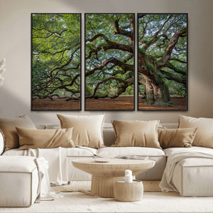 Historic Tree Wall Art – Framed Mossy Branch Canvas Artwork,