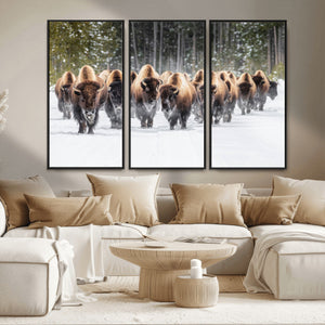 American Bison Herd Wall Art Canvas Print – Powerful Winter