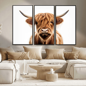 Scottish Highland Cow Canvas Print, Framed Highland Cow