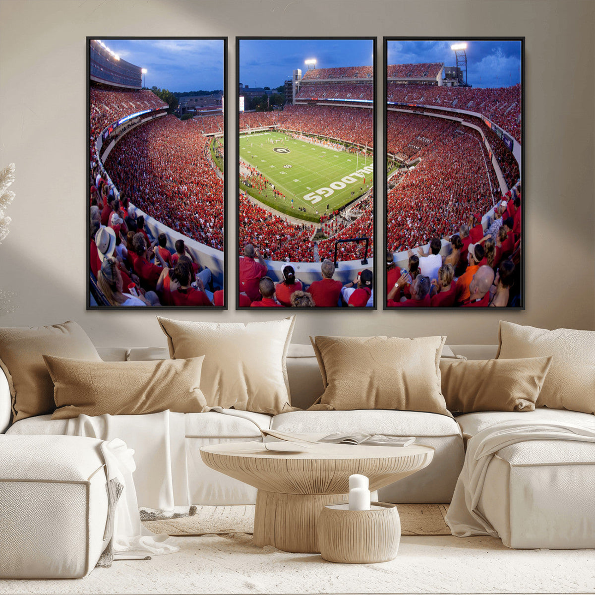 Dooley Stadium Wall Art, Sports Arena Canvas Print, Dooley