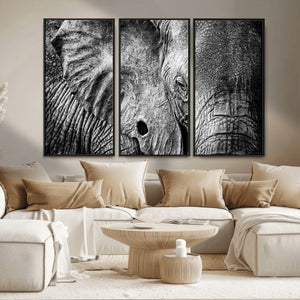 Wild Old Elephant Wall Art Canvas Print