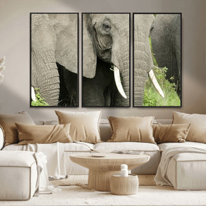 Wild Elephant Wall Art Canvas Print