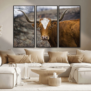 Texas Longhorn Canvas Wall Art - Longhorn Steer Canvas Wall