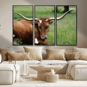 Longhorn Cow Animal Wall Art Canvas Print