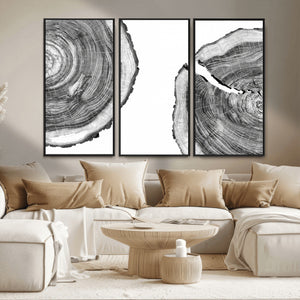 Abstract Large Tree Rings – Minimalist Black and White Wood