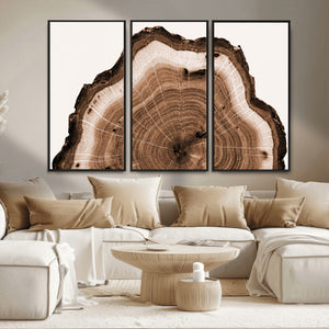 Rustic Wood Rings Wall Art | Nature-Inspired Tree Ring