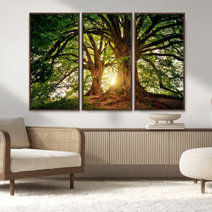 Majestic Ancient Tree Wall Art, NatureCanvas Print, Woodland