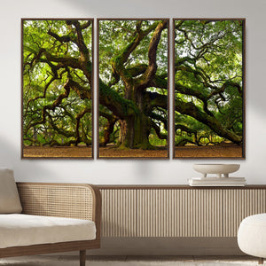 Angel Oak Tree Wall Art Canvas Print | Forest Tree Nature