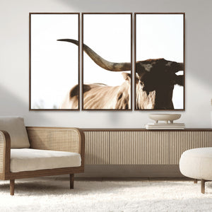 Texas Longhorn Wall Art Canvas Print | 3-Panel Large
