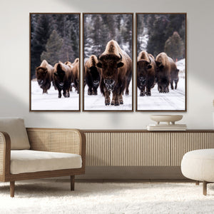 Bison Wall Art Canvas Print- Bison Herd Canvas Wall Art –