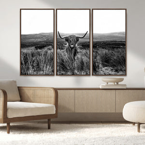 Black and White Highland Cow Canvas Wall Art, Longhorn