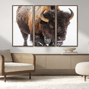 Bison Wall Art Canvas Print For Farmhouse, Wild Animal Wall
